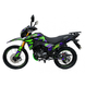 Мотоцикл Shineray VXR 300 (2024), Зелений