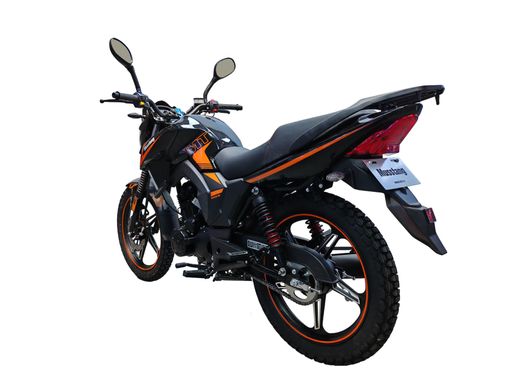Дорожный мотоцикл Musstang Region MT250 (2024) в Днепре