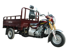 Трицикл вантажний Musstang MT200ZH-4V  в Дніпрі